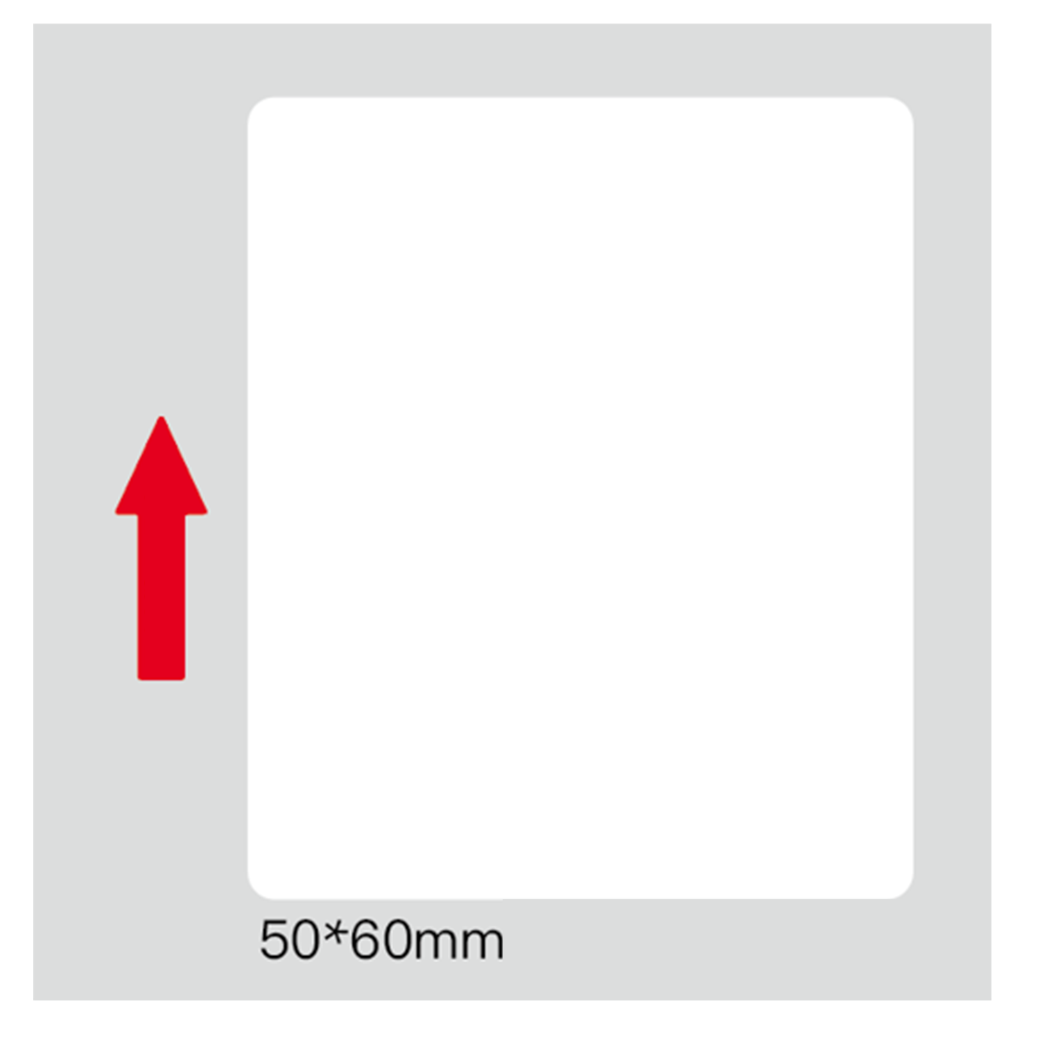 TIORNI398401.png