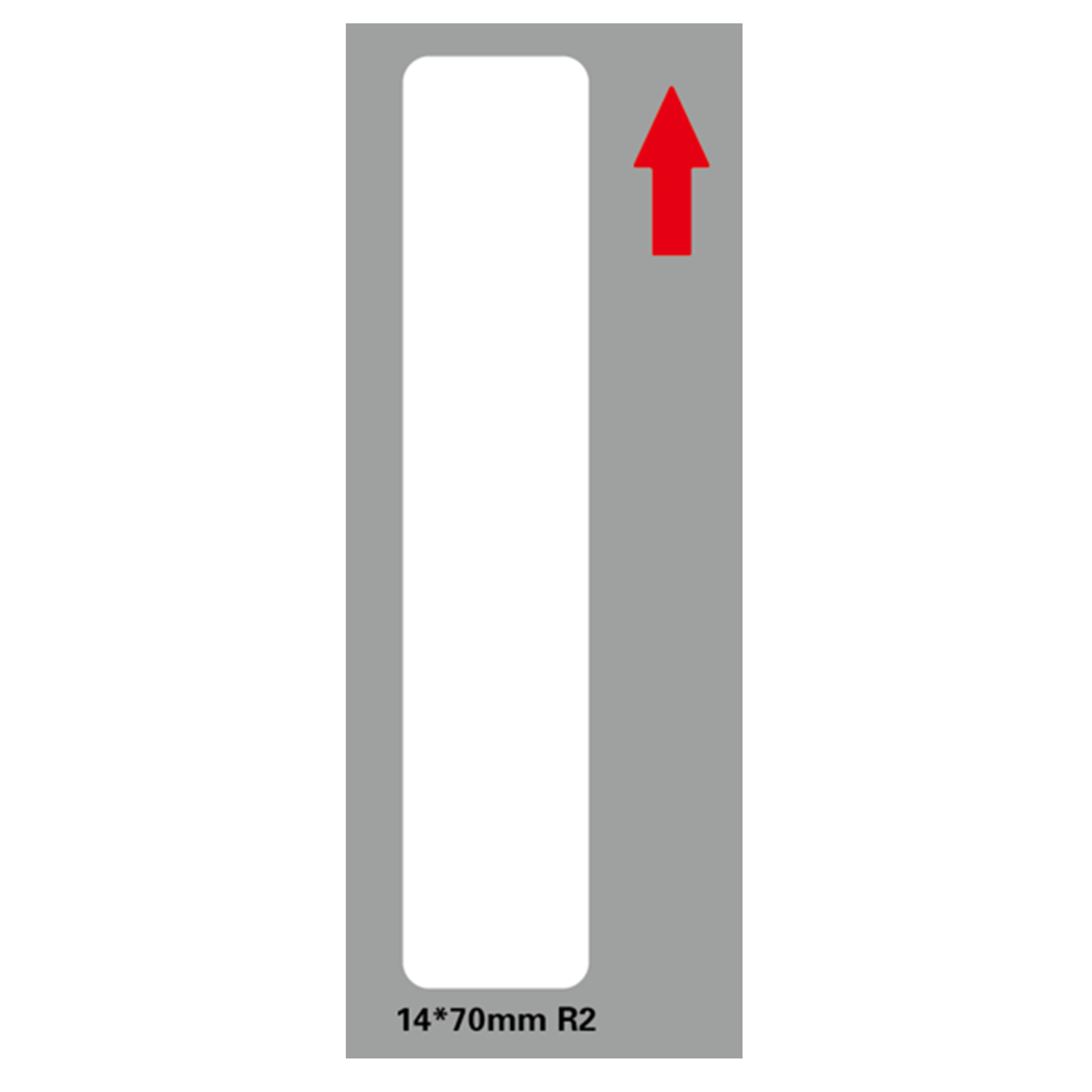 TIORNI591101.png