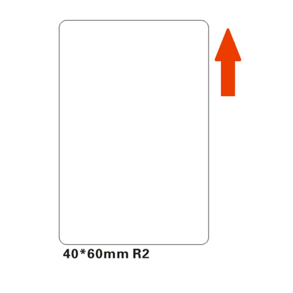 standard_resolution-122.jpg