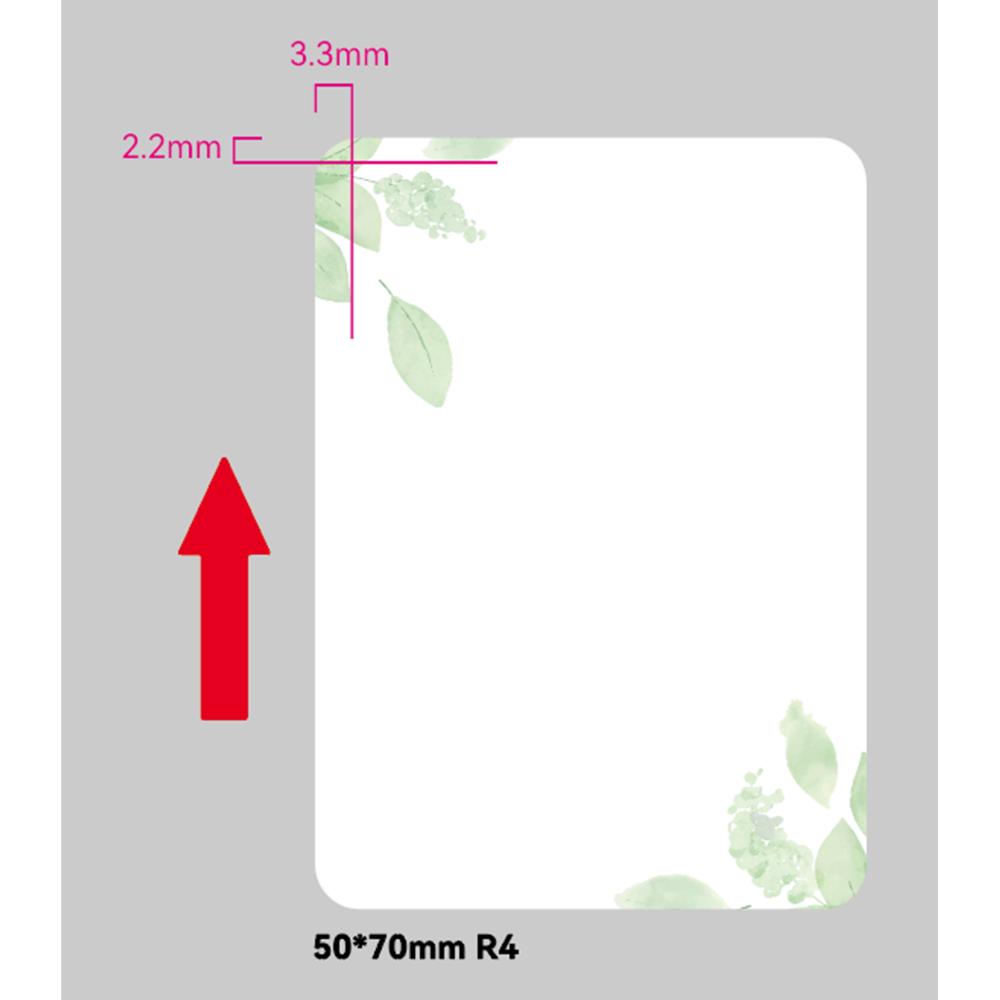 standard_resolution-205.jpg