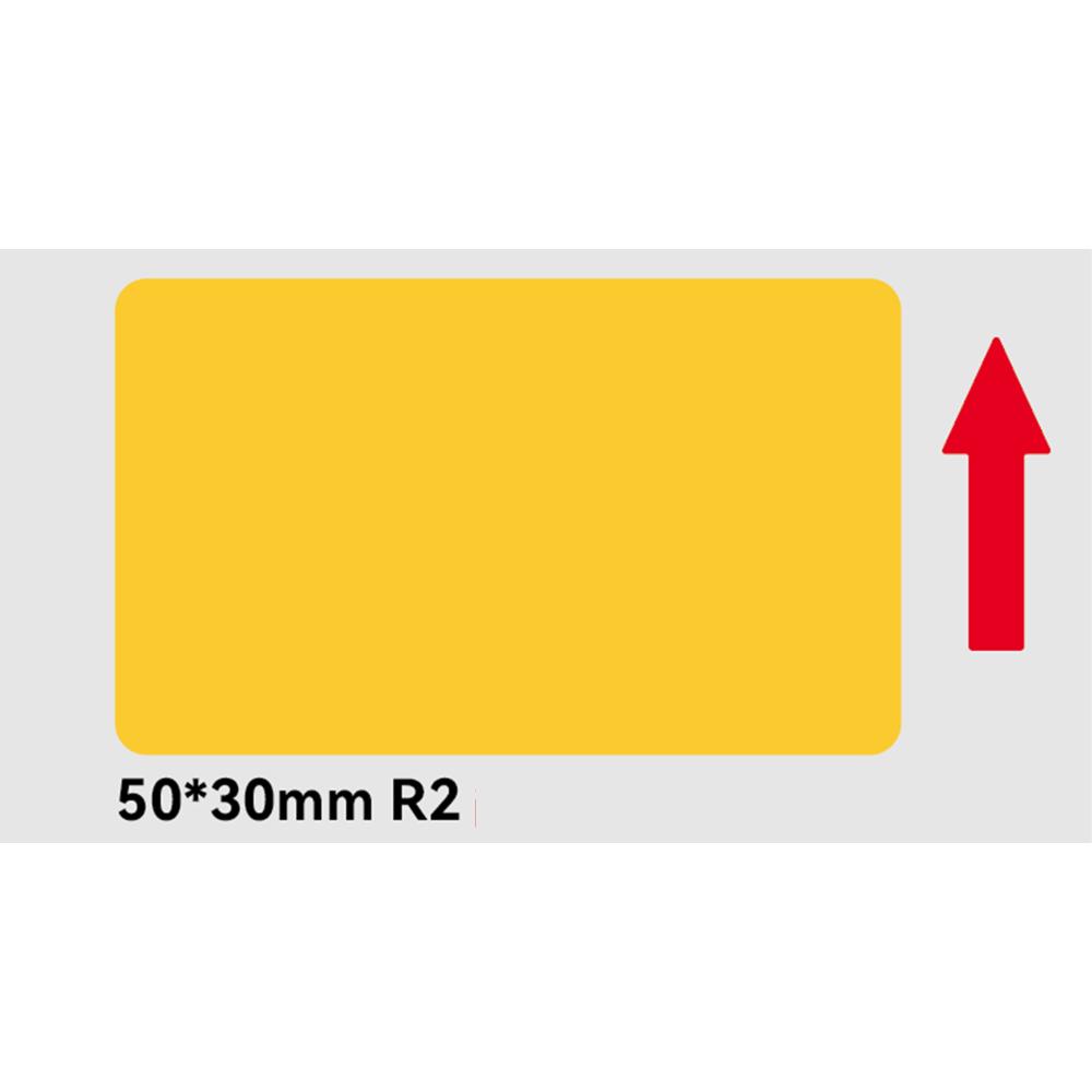 standard_resolution-211.jpg
