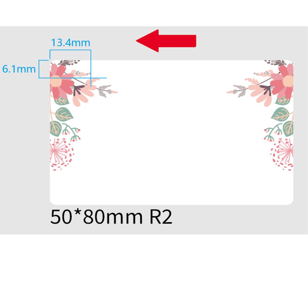 standard_resolution-216.jpg