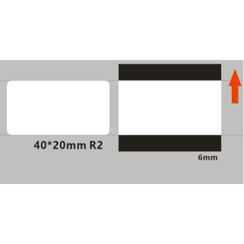 standard_resolution-234.jpg