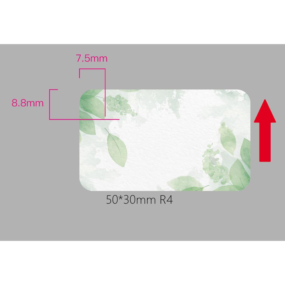 standard_resolution-246.jpg