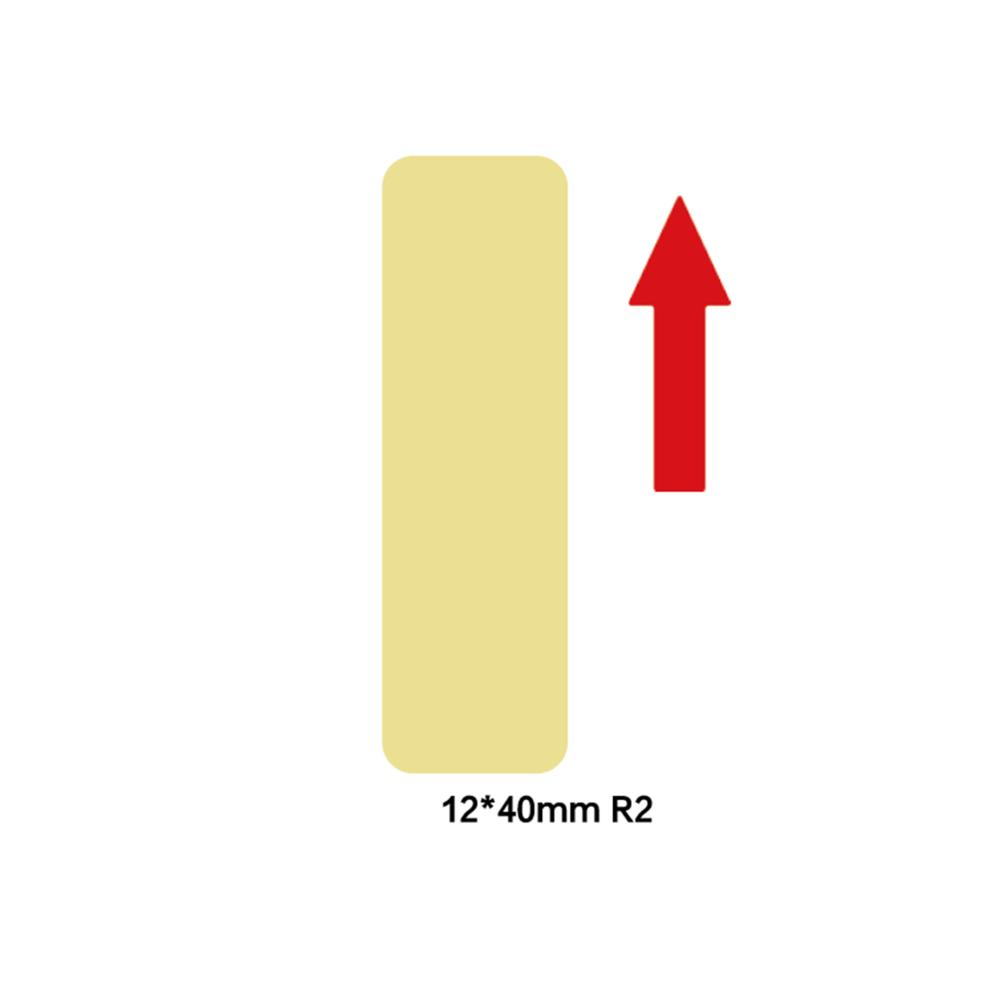 standard_resolution-59.jpg