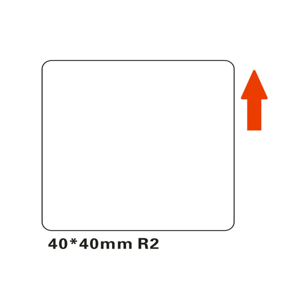 standard_resolution-91.jpg