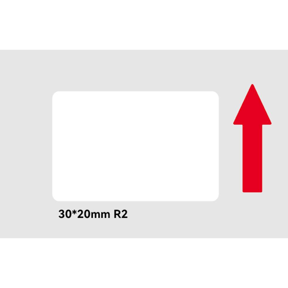 standard_resolution-94.jpg