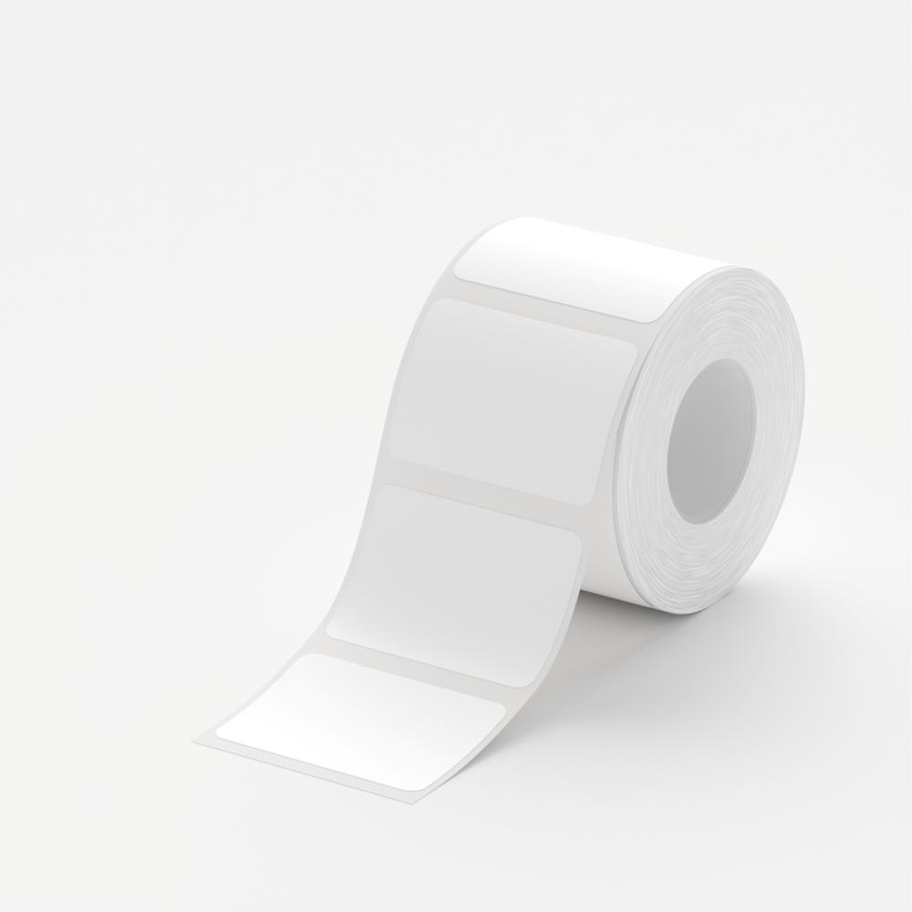 standard_resolution-95.jpg